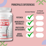 3 UNIDADES  NeverAge LIPOSOMAL NAD+ 1000 MG + RESVERATROL