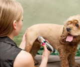 KIT DE CORTE PARA MASCOTAS