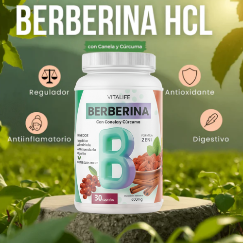 VITALIFE BERBERINA